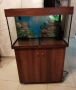 Продажа аквариум, 1400 ₪, Ашкелон