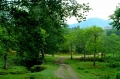 Фото: 2